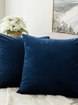 Pack of 2, Velvet Soft Solid Decorative Square Throw Pillow Covers Set Cushion Case for Spring Sofa Bedroom Car 18x18 Inch 45x45 Cm