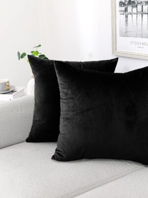 Decorative Throw Pillow Covers Pack of 2 Velvet Throw Pillow Cases for Couch Pillows Cover Bedroom Living Room Outdoor, Pillow Covers 20x20 Inch Black